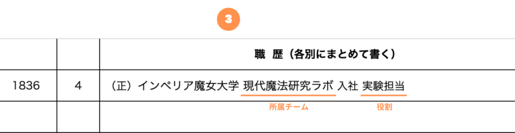 所属は、チームと役割を記載する